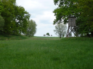 Weg nach Löbschütz