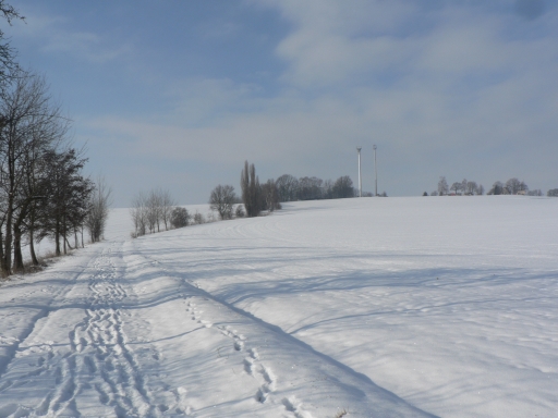 Deditzer Höhe im Winter